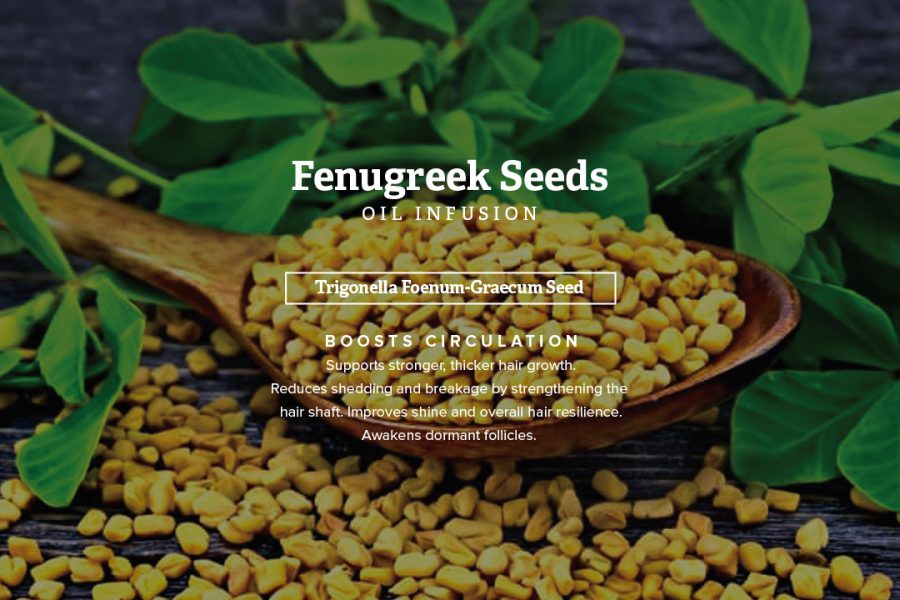 Natural ingredient in Shea Perfection Hair Oil - Vitamin E